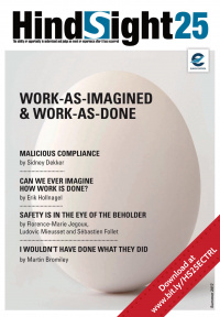 HindSight 25 poster.jpg