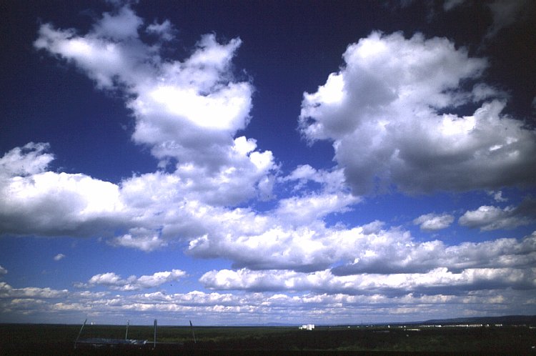 cumulus